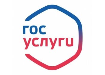 В Минцифры считают, что сейчас нет оснований для рассылки повесток через «Госуслуги»