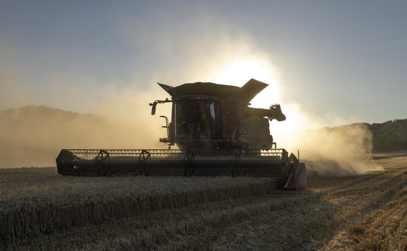 
                    Венгрия вслед за Польшей запретила ввоз сельхозпродукции с Украины

                