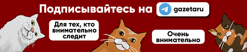 «Никто не будет замечать этот 1%». Депутат Матвеев объяснил, кто будет платить «налог на развлечения» 