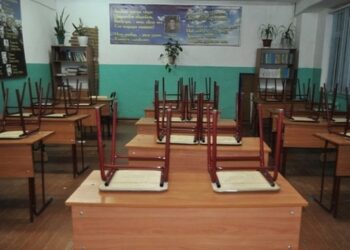 В Госдуме предложили обязать школьников трудиться