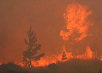 В Омской области ввели режим ЧС из-за природных пожаров