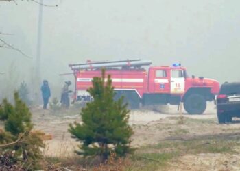 Власти Тюменской области ввели режим ЧС во всем регионе из-за лесных пожаров