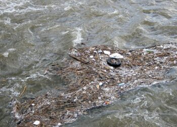 Херсонские власти сообщили о 17 жертвах разрушения ГЭС