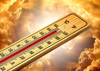 Кардиолог рассказал, сколько воды нужно пить в жару на улице