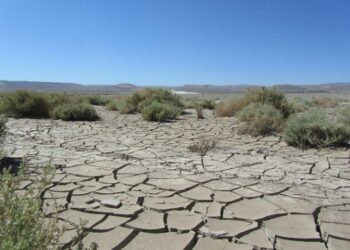 В Чувашии из-за засухи ввели режим ЧС