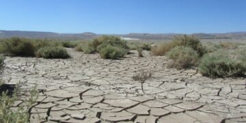 В Чувашии из-за засухи ввели режим ЧС