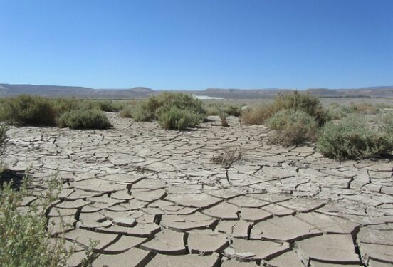В Чувашии из-за засухи ввели режим ЧС