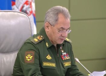 Шойгу утвердил список болезней, с которыми нельзя служить при мобилизации и в военное время