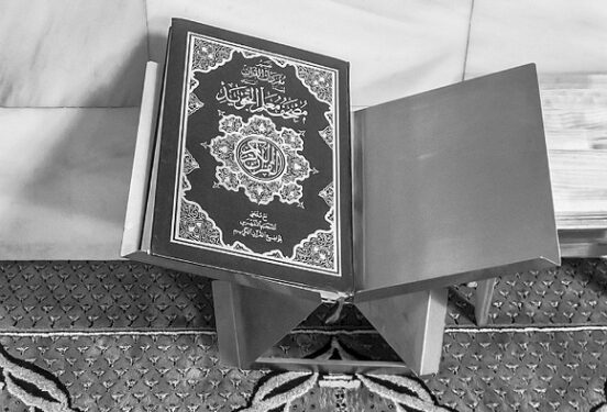 В СПЧ отреагировали на избиение сыном Кадырова поджигателя Корана