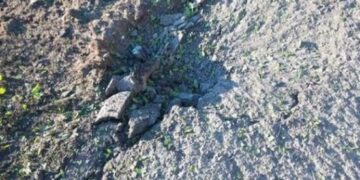 Белгородскую область за сутки обстреляли 15 раз