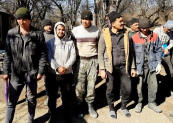 Мигрантам в России могут запретить работать в школах, больницах и такси