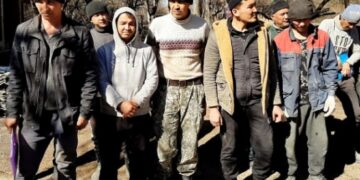 Мигрантам в России могут запретить работать в школах, больницах и такси