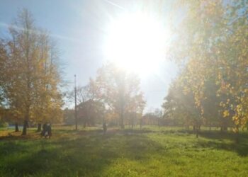 Аномальное тепло накроет почти всю Россию