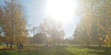 Аномальное тепло накроет почти всю Россию