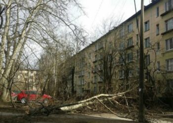 «Летающие крыши, вырванные с корнями деревья»: в Сибири бушует мощный ураган (видео)