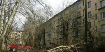 «Летающие крыши, вырванные с корнями деревья»: в Сибири бушует мощный ураган (видео)