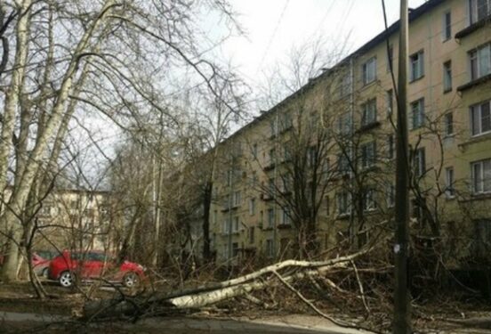 «Летающие крыши, вырванные с корнями деревья»: в Сибири бушует мощный ураган (видео)