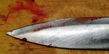 Россиянин убил свою мать шестью ударами ножа