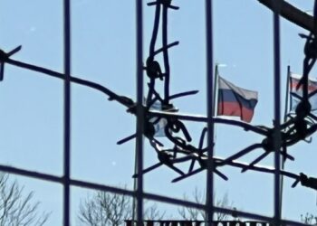 В Мурманской области опасаются наплыва мигрантов после закрытия финнами КПП