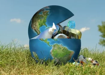 Экологическое Законодательство: как избежать штрафов и соблюсти требования