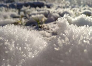 Аномальное тепло накроет регионы России