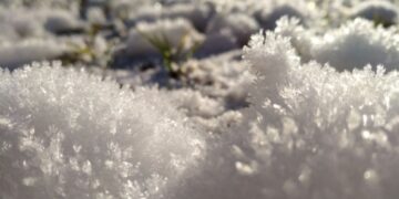 Аномальное тепло накроет регионы России