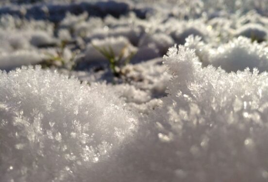 Аномальное тепло накроет регионы России