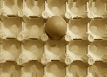 «Цены по-прежнему растут»: в Минсельхозе признали, что так и не решили проблему с яйцами