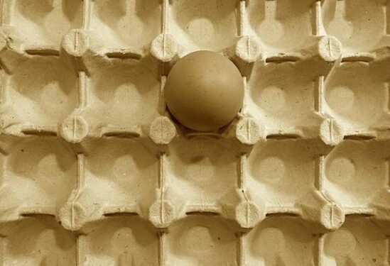 «Цены по-прежнему растут»: в Минсельхозе признали, что так и не решили проблему с яйцами