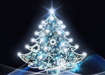 Чего ждать от декабря: новые законы и правила