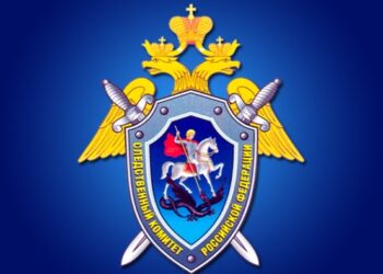 СК РФ предложил лишать гражданства за все тяжкие преступления