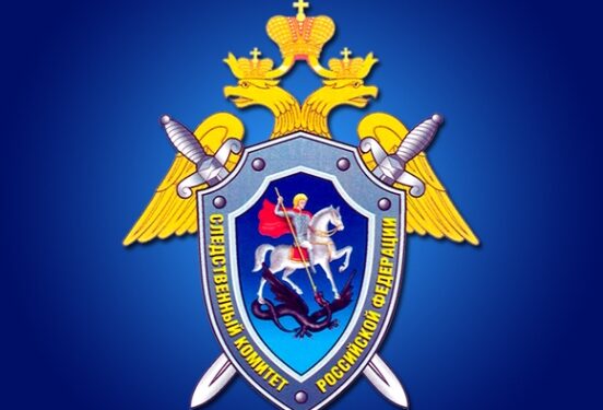 СК РФ предложил лишать гражданства за все тяжкие преступления