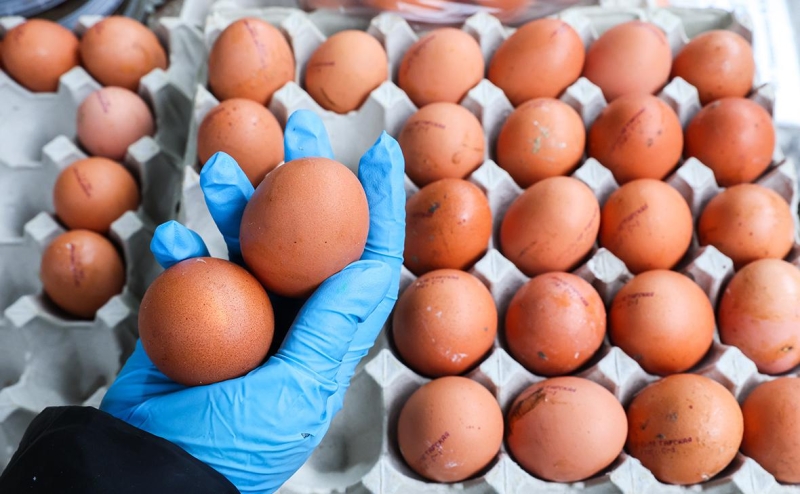 
                    В России ускорился рост цен на яйца

                