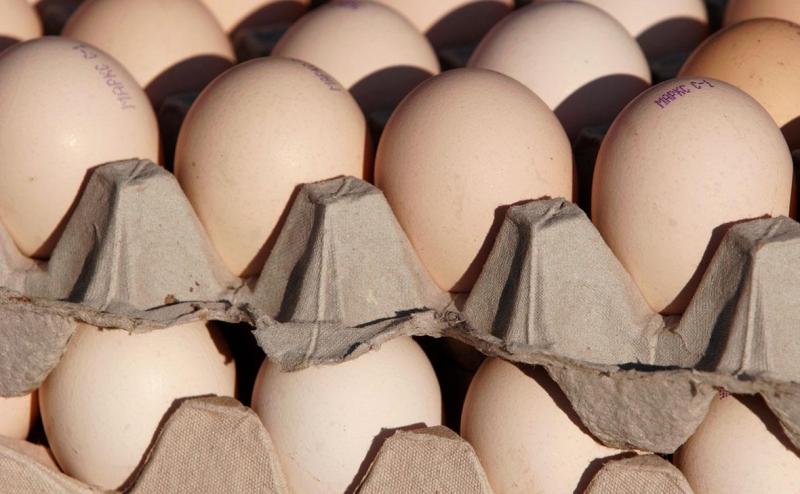 
                    Росстат зафиксировал падение цен на яйца вторую неделю подряд

                