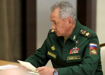 Шойгу раскрыл потери ВСУ за год — более 215 тысяч человек