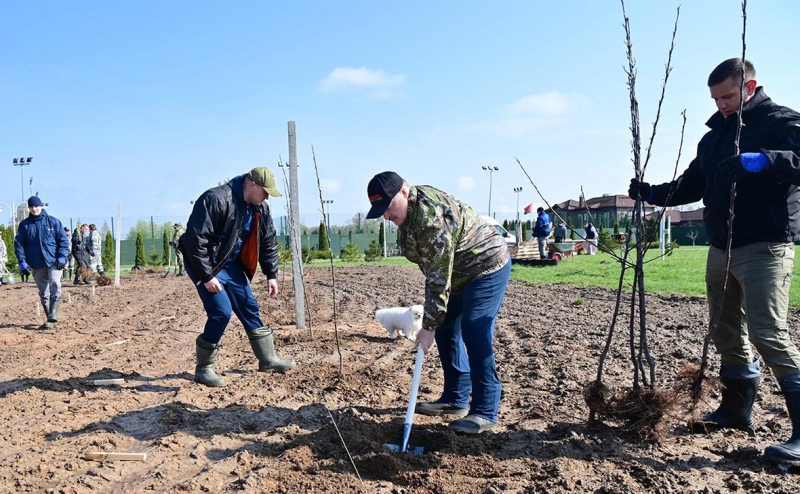 
                    Лукашенко поручил новому главе Минприроды Белоруссии «копать и искать»

                