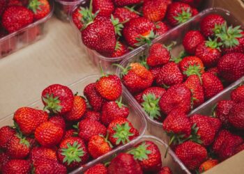 Свежая клубника в розницу: разнообразие сортов и польза для здоровья