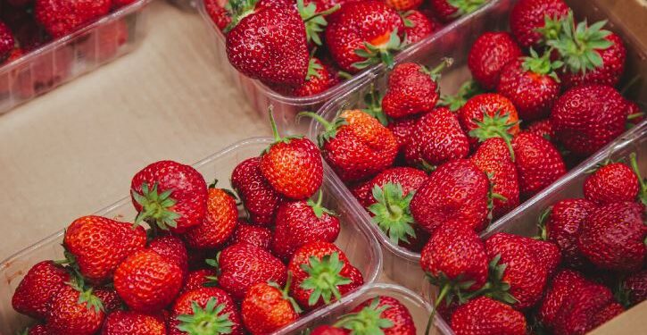 Свежая клубника в розницу: разнообразие сортов и польза для здоровья