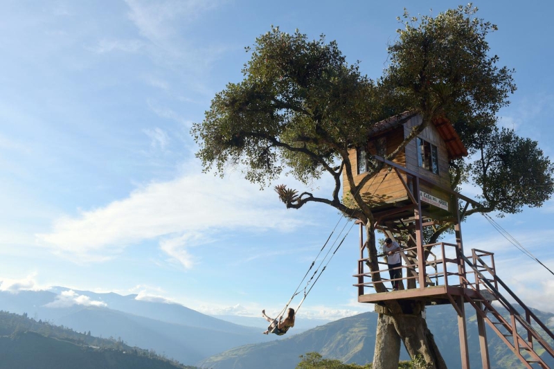Дом на дереве: можно ли такой построить на даче или в лесу