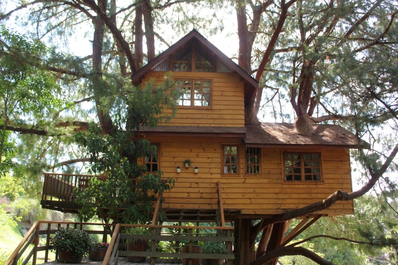 Дом на дереве: можно ли такой построить на даче или в лесу