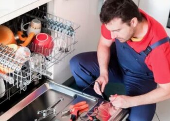 Ремонт посудомоечных машин: когда нужна помощь профессионалов