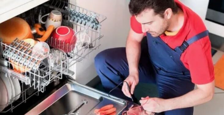 Ремонт посудомоечных машин: когда нужна помощь профессионалов