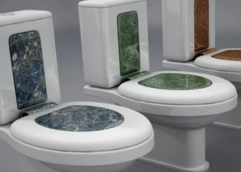 Виды унитазов: особенности, материалы изготовления и типы конструкций