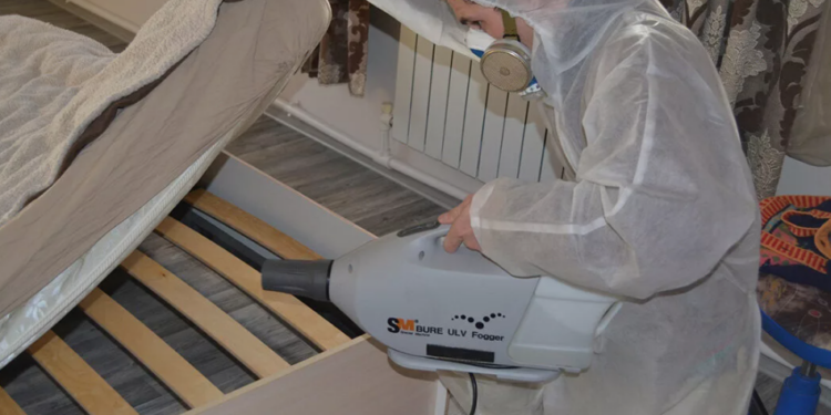 Как профессионалы помогают избавится от клопов