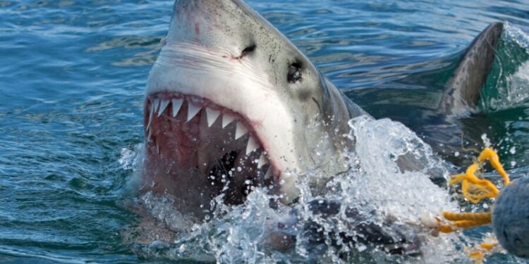 14 июля — какой сегодня праздник? Что отмечают в этот день в России и мире