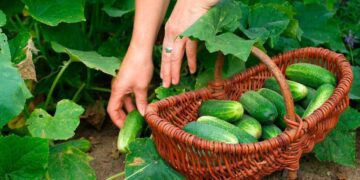 19 июля — какой сегодня праздник? Что отмечают в этот день в России и мире