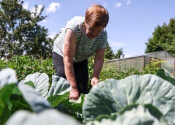 23 июля — какой сегодня праздник? Что отмечают в этот день в России и мире