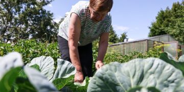 23 июля — какой сегодня праздник? Что отмечают в этот день в России и мире