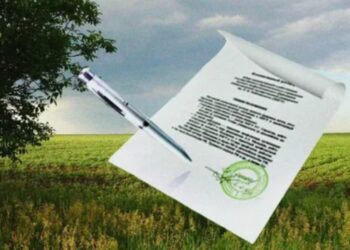 Успешное освоение лесных участков: всё о проектной документации