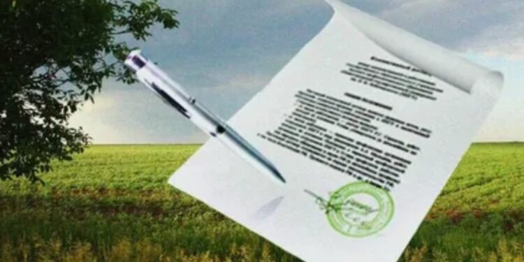 Успешное освоение лесных участков: всё о проектной документации